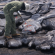 Image for article titled How Do You Collect Samples From an Active Volcano?